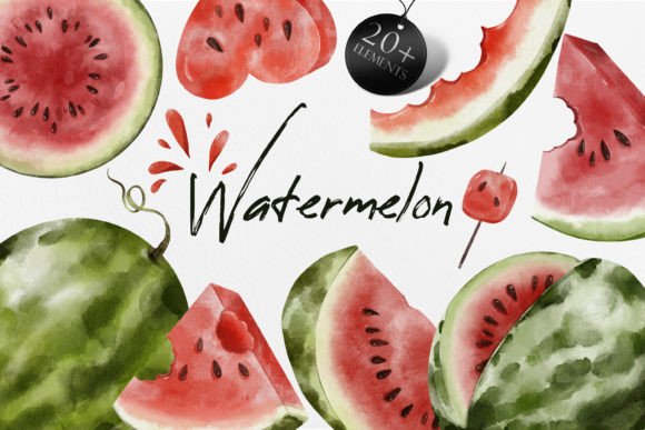 Bringing Summer to Life with Watermelon Watercolor Illustrations
