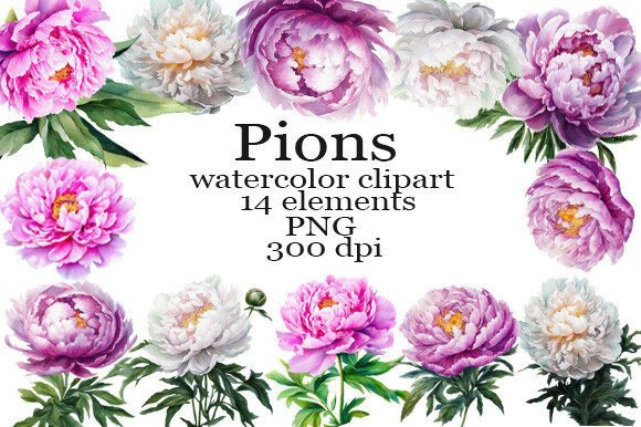 Peonies Watercolor Clipart PNG: Elevating Digital and Physical Designs