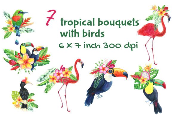 Revitalizing Digital Design with Birds Tropical Watercolor Bird Colorful Elements