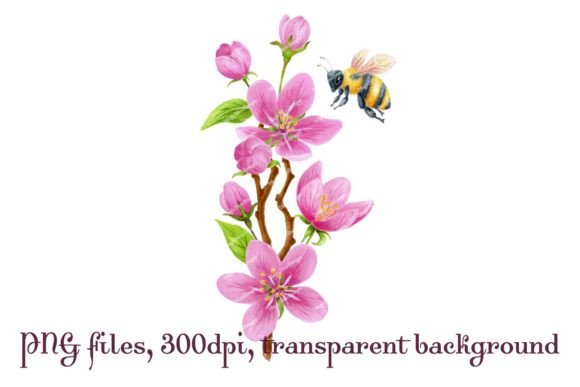 Spring Sakura Flowers and Bee Clipart