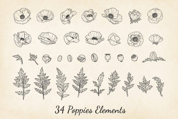 Unlock Creative Potential with Poppies SVG and Poppy Fine Line Vector Designs
