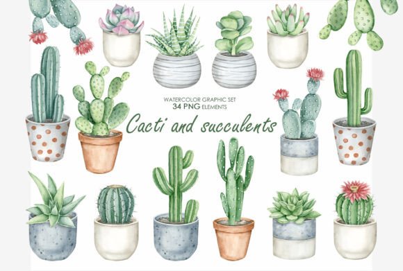 Watercolor Cactus and Succulents Clipart: A Guide to Quality and Usage