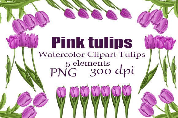 Watercolor Clipart Pink Tulips PNG: Elevating Your Creative Projects