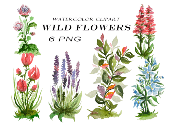 Watercolor Flowers Clipart for Design