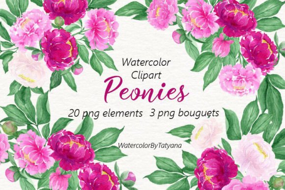 Watercolor Flowers Pink Peonies Clipart: A Practical Evaluation