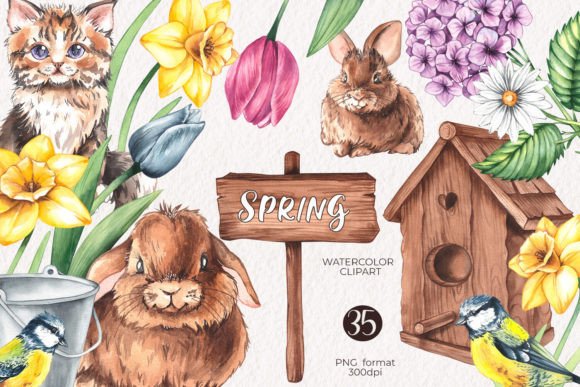 Watercolor Spring Clipart PNG Collection